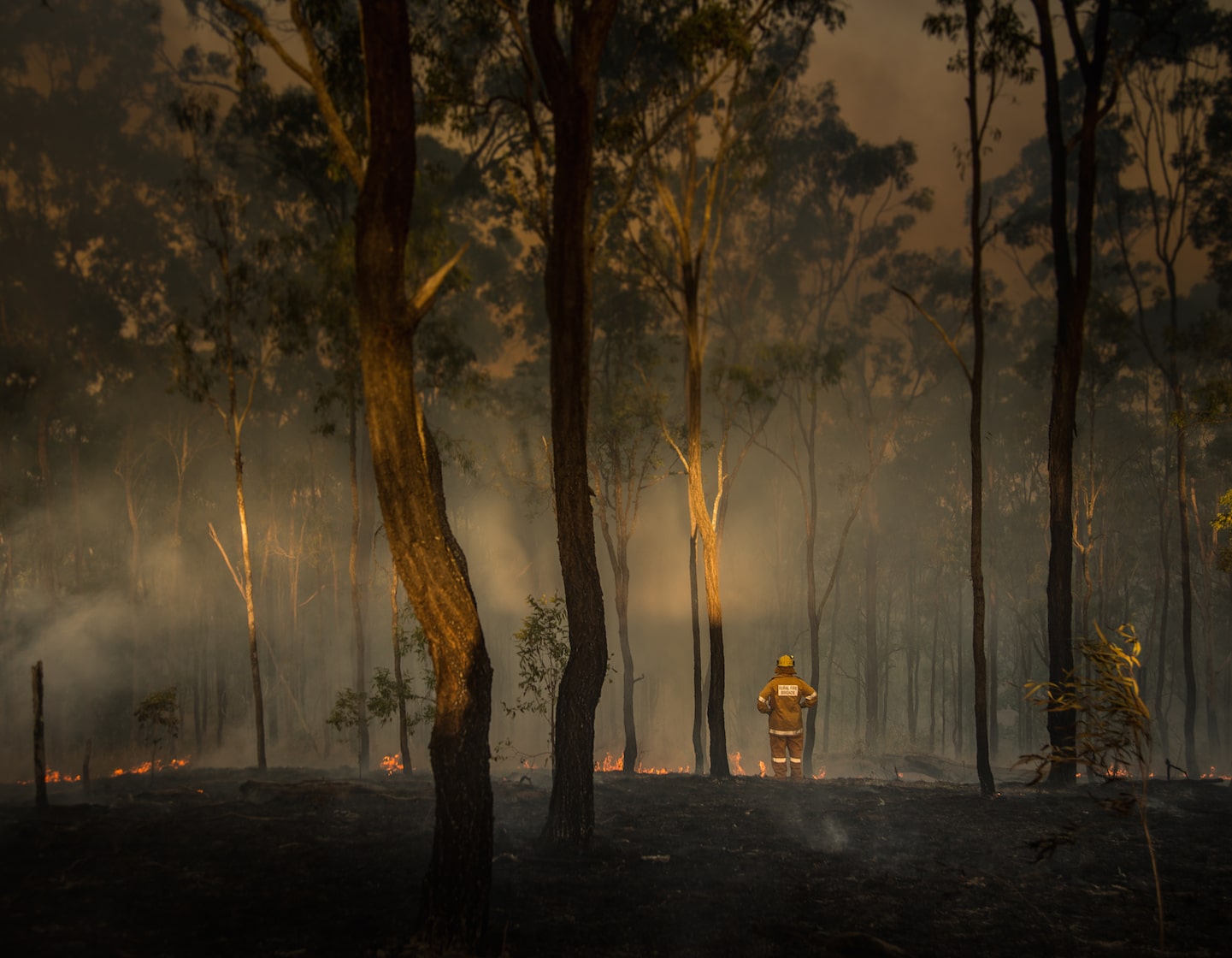 オーストラリアの山火事の犠牲者に寄付する方法とシンガポールから支援するその他の方法