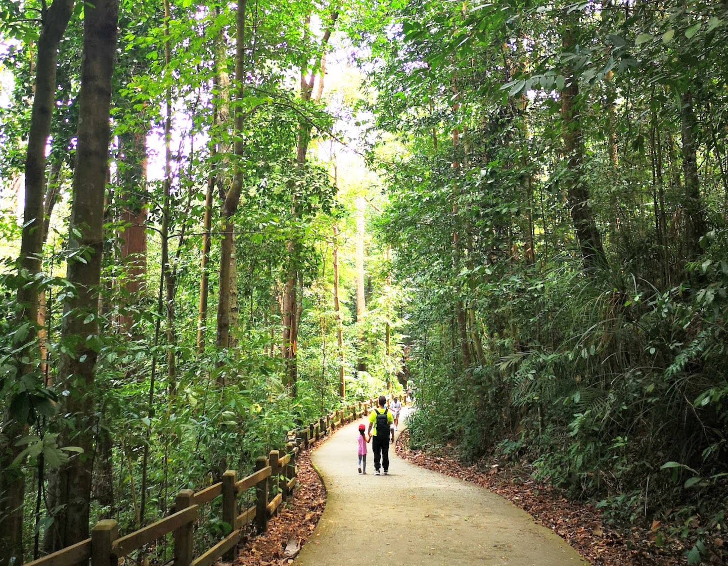 ブキ ティマ自然保護区とヒンドヘデ自然公園ガイド