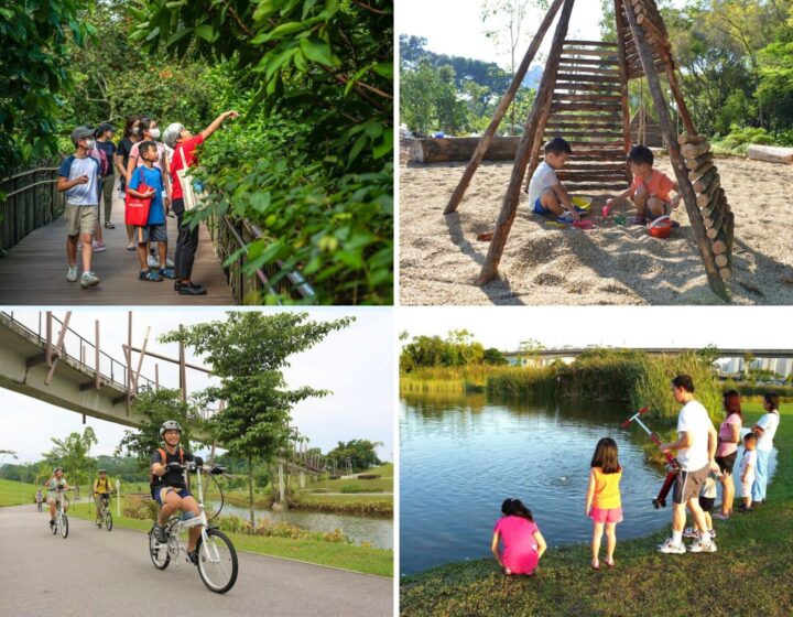 シンガポールの子供向けベスト公園 24 選: 遊び場、凧揚げ、自然歩道、登山枠