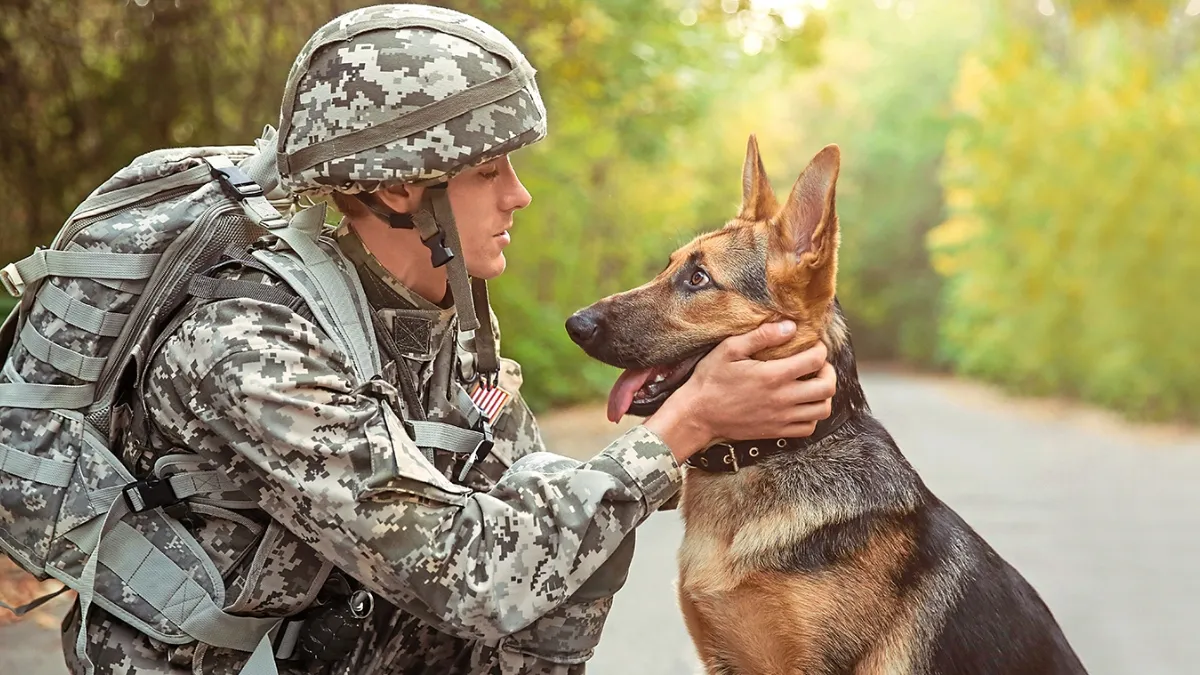 3月13日から3月15日までのミニホリデーを祝い、K-9の退役軍人の栄誉からピーナッツバターカップの作成まで