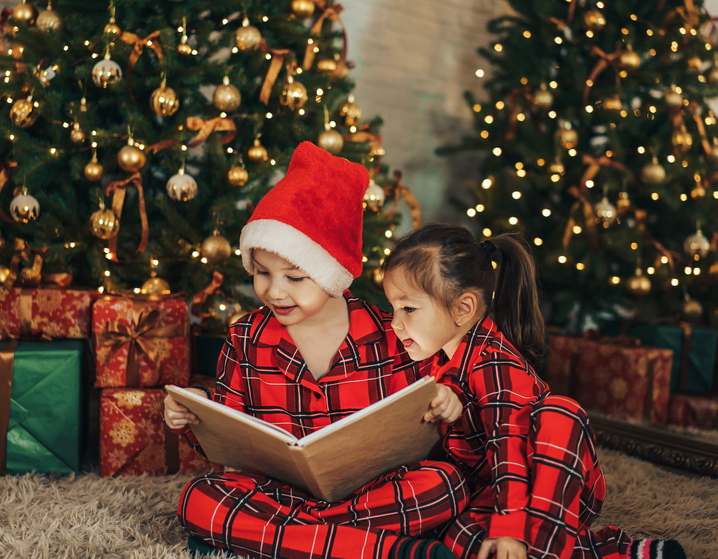 あらゆる年齢の子供向けの最高のクリスマス本 19 冊