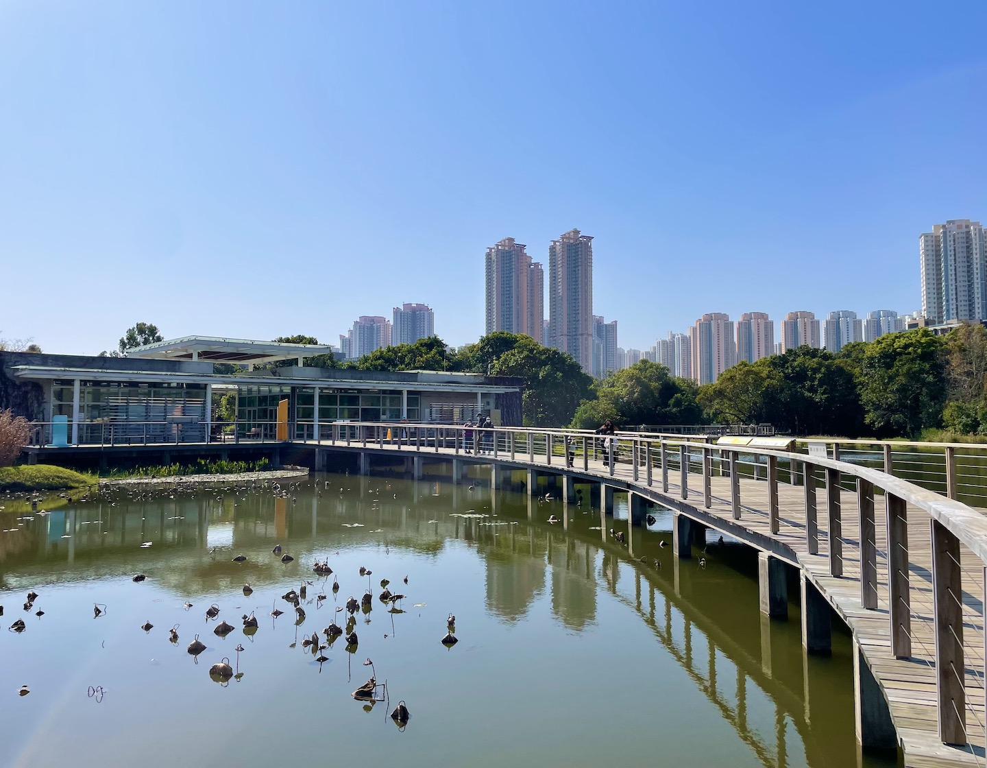 香港湿地公園：香港の湿地を巡るエコ日帰り旅行